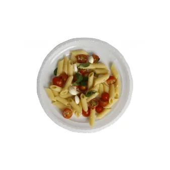 Prato de refeição raso 26 cm